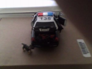 IMG_20190105_094604.jpg