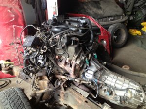 IMG_0172[1].JPG