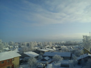 DSC00137.jpg