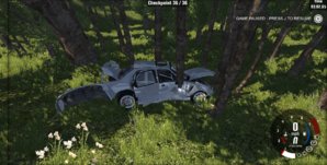 beamng rally.JPG