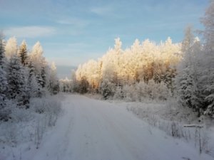 VK_Saved_Photo_636847343767962519.jpg