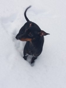 20190119_150645.jpg