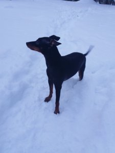 20190119_150623.jpg