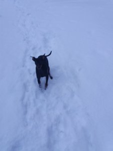 20190119_150631.jpg