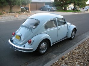Beetle2.jpg