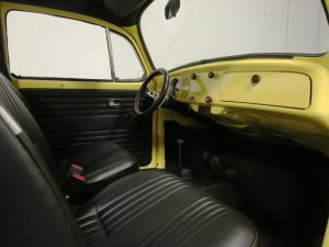 Beetle4.jpg