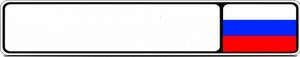 license_plate_rus_el_d.png