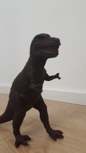 20190601_112142.jpg
