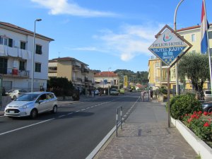 IMG_4442.jpg