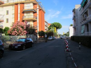 IMG_4446.jpg