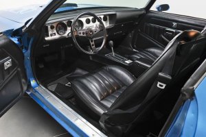 Firebird2.jpg