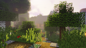 BaseProfileScreenshot20190706-19030552.png