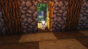 BaseProfileScreenshot20190706-19020006.png