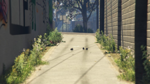 photo9.png