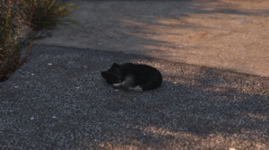photo19.png
