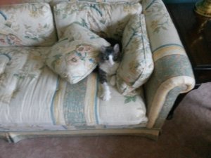 20150731_124234.jpg