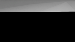 nosespec.png