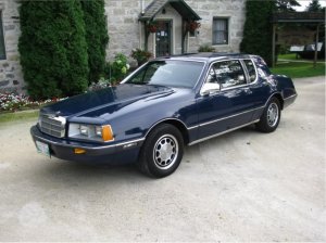 1983cougar.jpg
