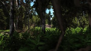 20190817152953_1.jpg