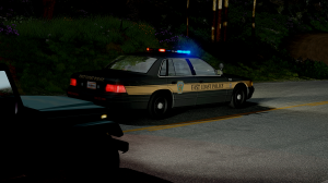 BeamNGdriveScreenshot20191015-01471889.png