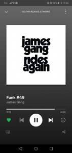 Screenshot_20191112_172410_comspotifymusic.jpg