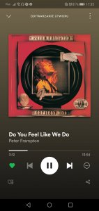 Screenshot_20191116_173535_comspotifymusic.jpg