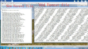 forest.jpg
