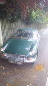 9a39fd5c64.jpg