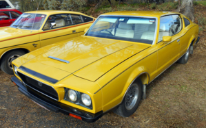 socialist car.png