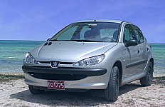 Peugeot_206-thumbnail.jpg