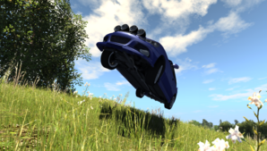 pro4.png