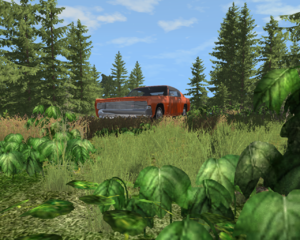 Outside 1.png