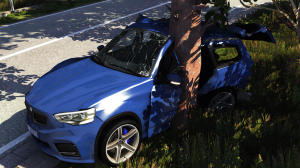BeamNGdriveScreenshot20200214-00582836.png