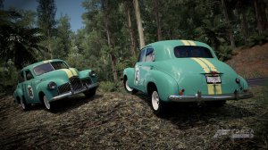 ForzaHorizon3120.jpg