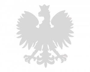 SokolyBusCoach.png