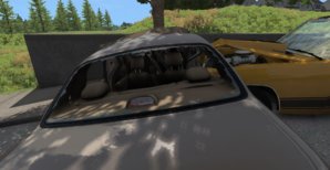 Back Impact.JPG