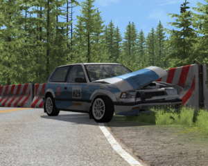 rally.png