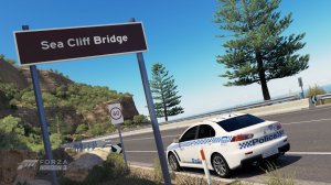 ForzaHorizon3137.jpg