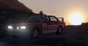 Rally.jpg