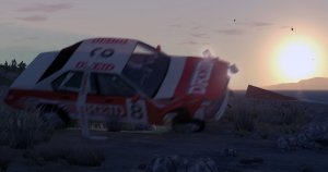 Rally2.jpg