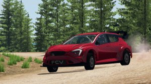 Rally.jpg
