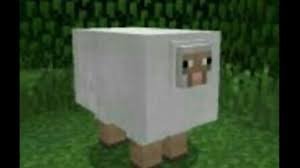 thiccsheep.jpg