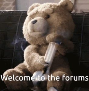 bear.gif