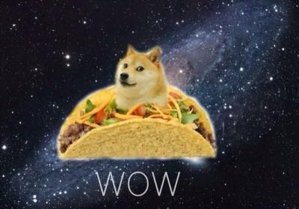 WOW.jpg