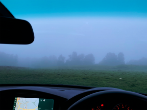 fog.png