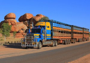 Outbackrig.jpg