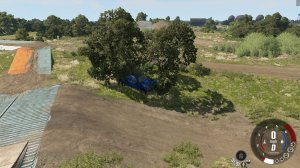 tree2.jpg