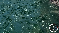 2015-12-20_00007.jpg