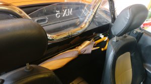 IMG_20200820_191639.jpg