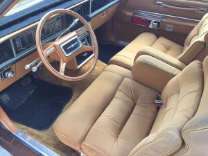 IMG_6227_grande.jpg